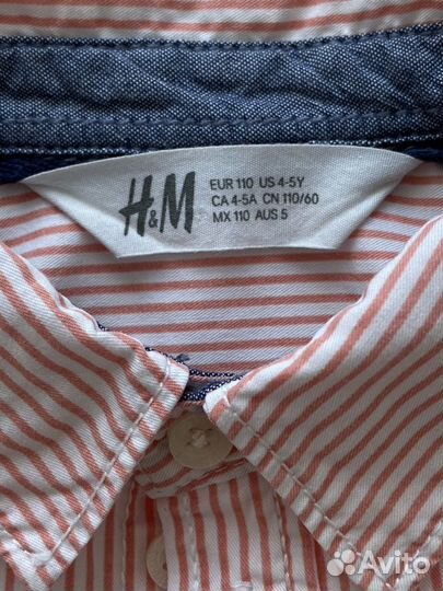 Рубашка и шорты H&M, на 4-5 лет