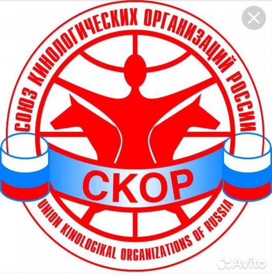 Регистрация помётов щенков