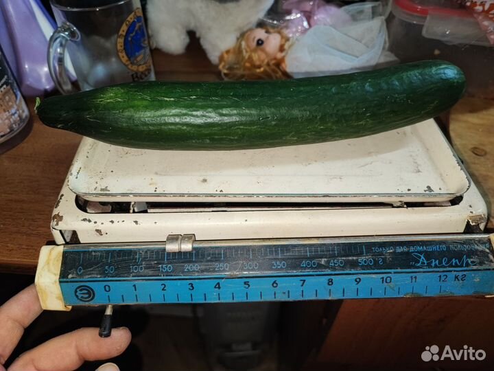 Весы бытовые Днепр СССР 1968 год