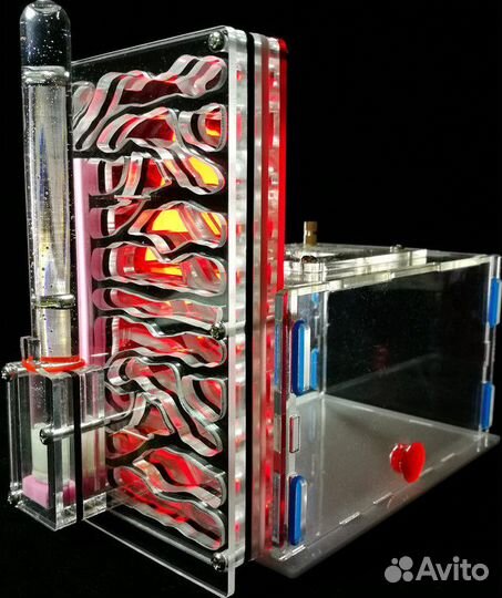 Муравьиные фермы + колонии Жнецов + Доставка