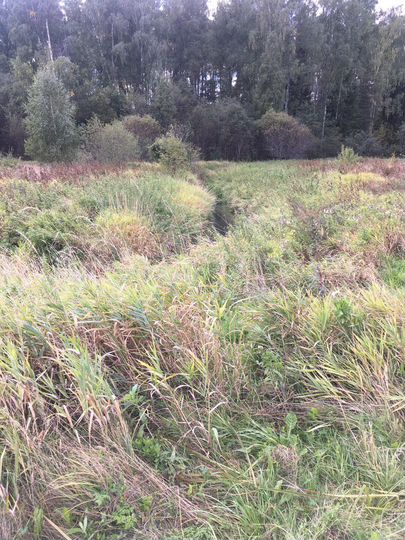 Участок 5 га (ИЖС)