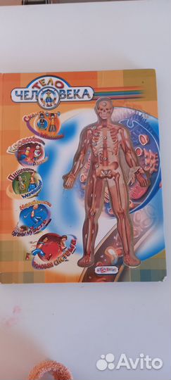 Книга для детей-Тело человека