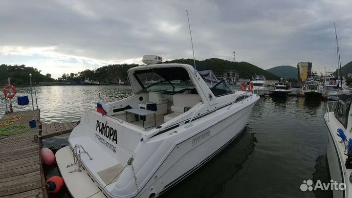 Морские прогулки Камчатка бронь на сезон 2024