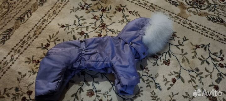 Комбинезон для маленькой собаки девочки