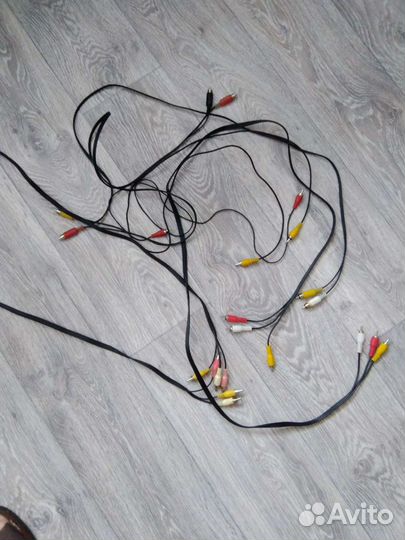 Тюльпаны провода