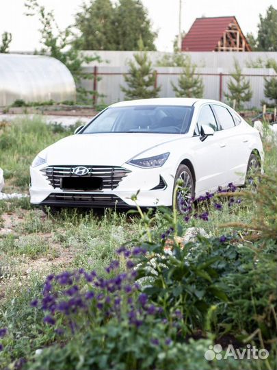 Трансфер/трезвый водитель