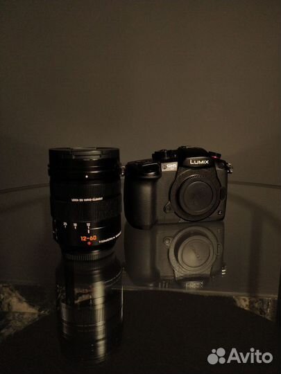 Panasonic lumix GH5s + leica 12-60 mm