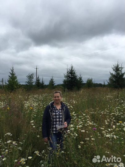 Учитель-логопед