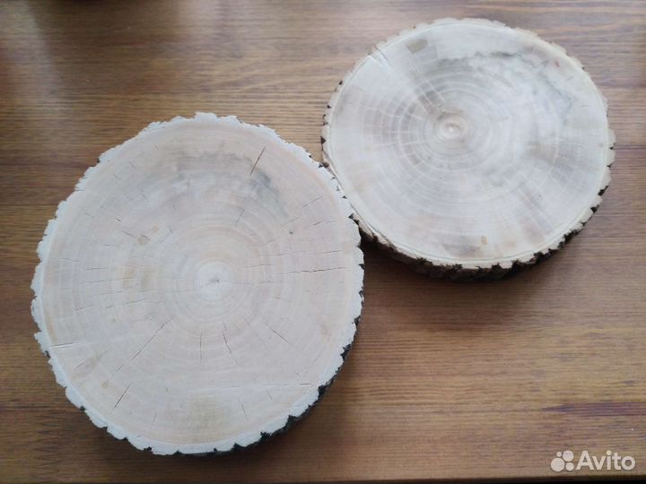 Спилы дерева