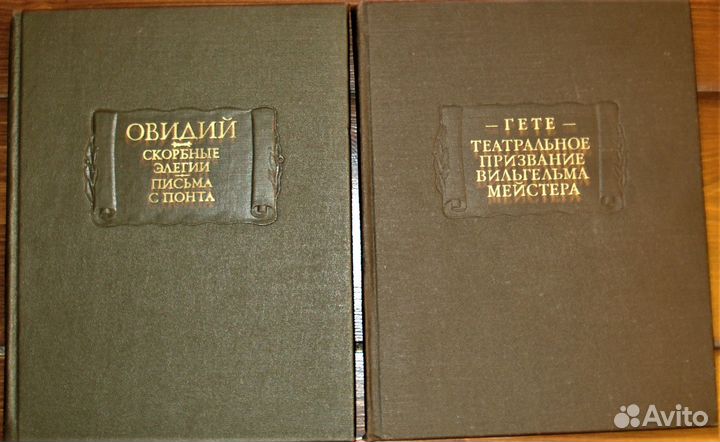 Литературные памятники Овидий, Гете