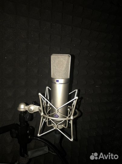 Neumann u87ai с пауком EA 87