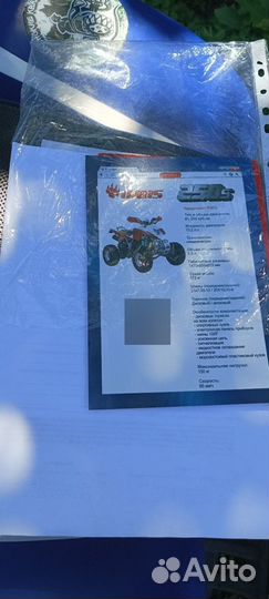 Квадроцикл ATV Ирбис 250s