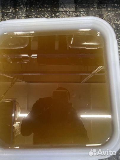 Цветочный мёд свежий опт