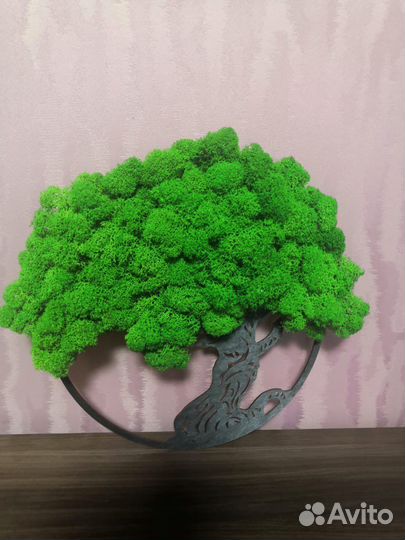 Панно из мха картина интерьерная древо жизни