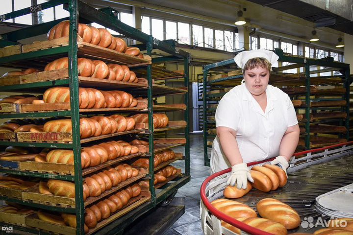 Упаковщик-сборщик хлеба на производство Вахта 15