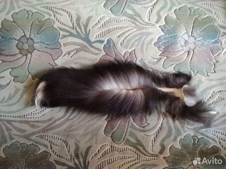 Шкурки серебристой чернобурки (выделанные)