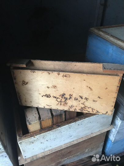 Инвентарь для пасеки