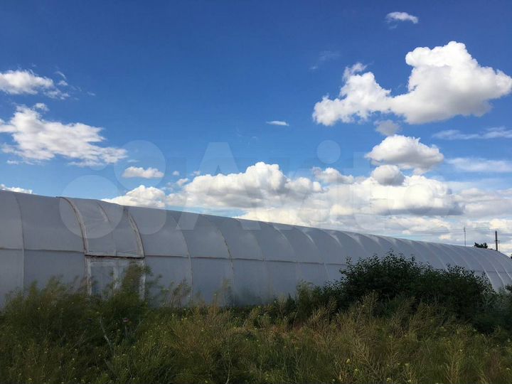 Участок 54,4 сот. (личное подсобное хозяйство (лпх))