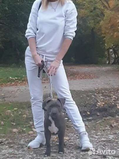 Костюм спортивный incanto xs с гипюром