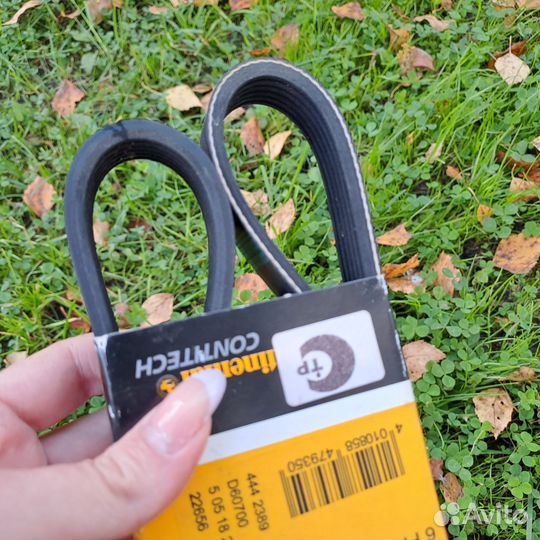 Ремень генератора 2108-099,2113-15,2110-12(16 кл)