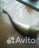 Рог изобилия