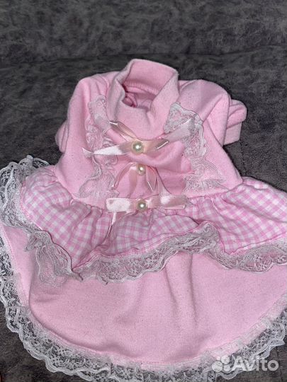 Вещи для маленьких собак