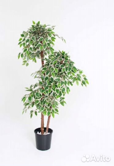 Искусственные растения