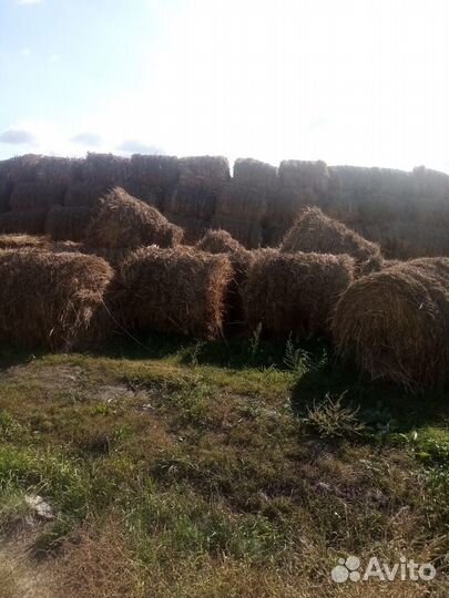 Сено луговое