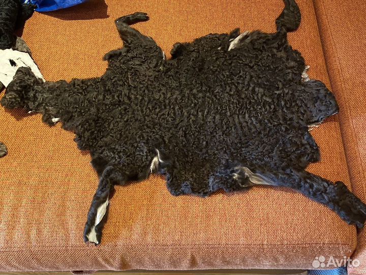 Каракуль шкурки