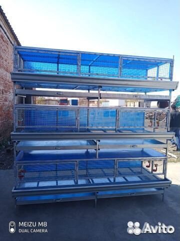 Клетки для кур