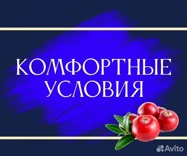 Водитель штабелера (Вахта)