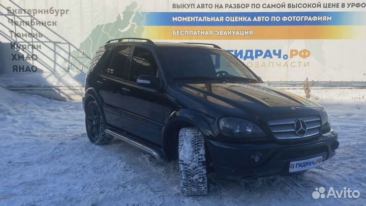 Обшивка двери задней правой Mercedes-Benz ML55AMG