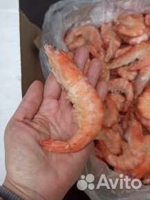 Рыба свежемороженая в ассортименте