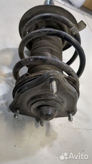 Амортизатор подвески Honda Civic 2021, 2023