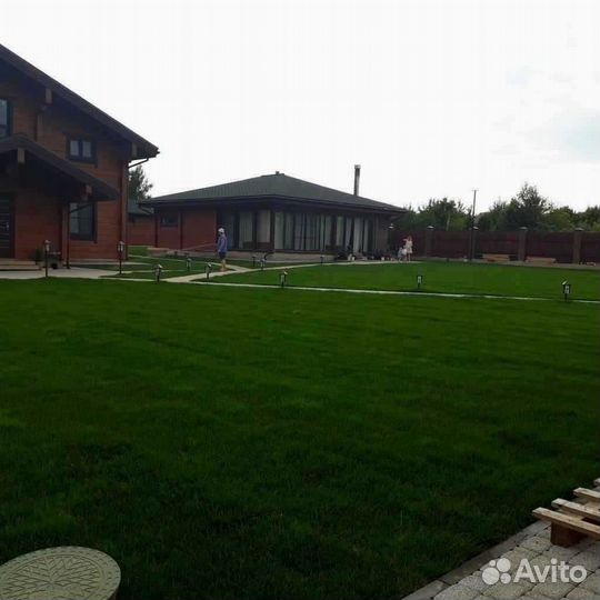 Рулонный газон /продажа/укладка