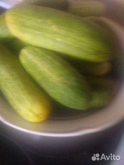 Домашние огурчики и сладкий перец