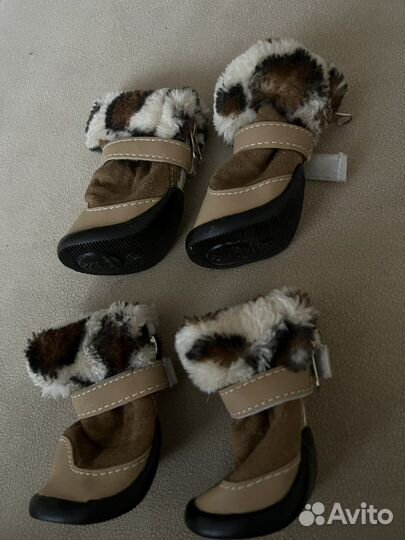 Ботинки для животных