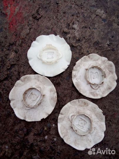 Колпачки дисков Веста