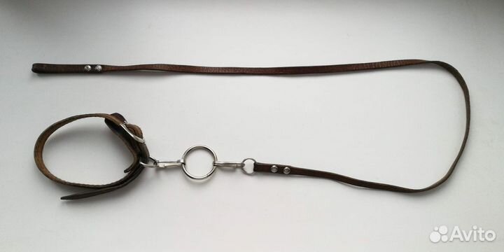 Ошейник и поводок