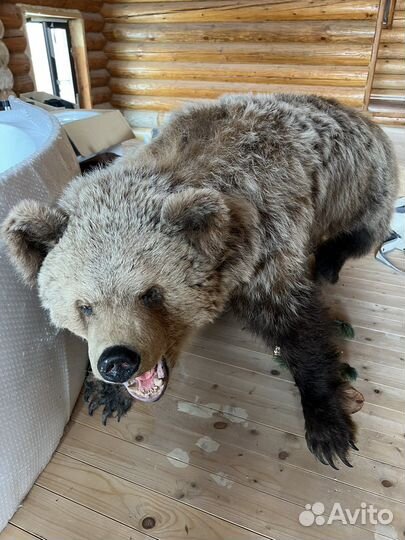 Чучело медведя имитация