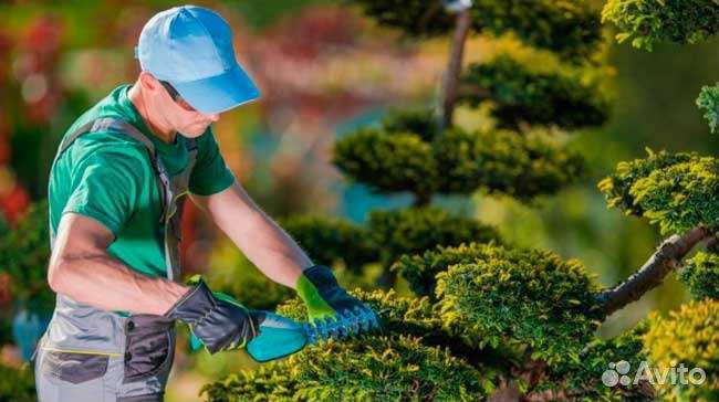 Садовник ландшафтные работы