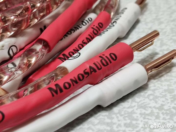 Акустический Monosaudio VS904 3 м б-лопатка