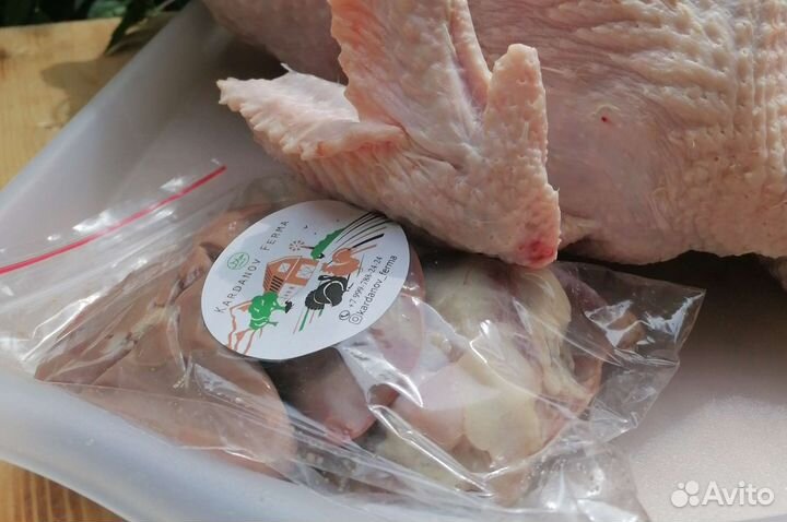 Индюки хайбрид конвертер (тушка)