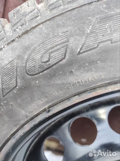 Tigar Sigura Stud 185/65 R15