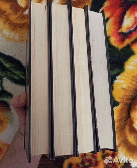 Сталкер Василий Орехов все книги