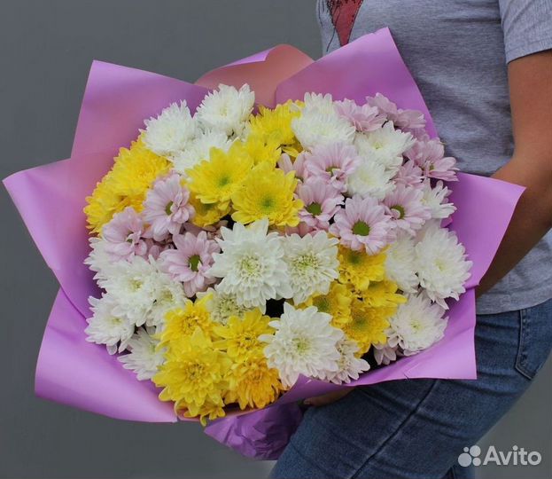 Цветы хризантемы