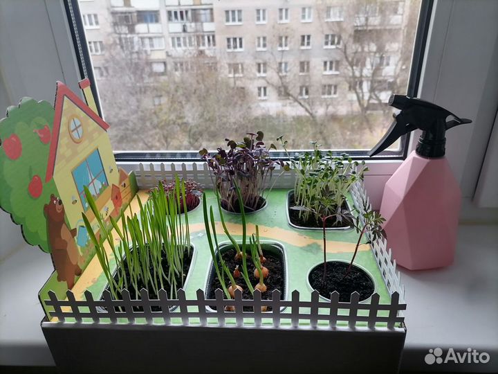 Ух, какие грядки - огород на подоконнике