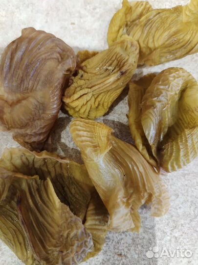 Пленка куриных желудков