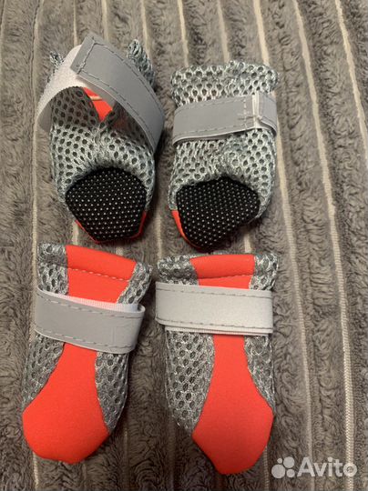 Обувь для маленьких собак