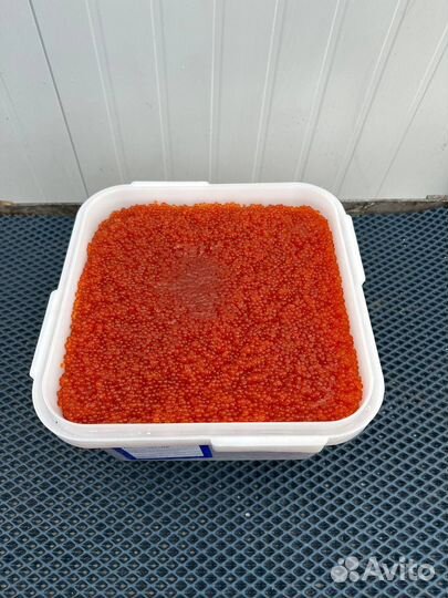 Красная икра Чавыча
